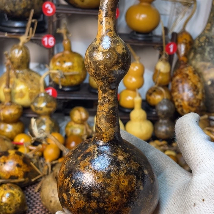 乒****老了我的小哥哥小妹妹的时候就是我的