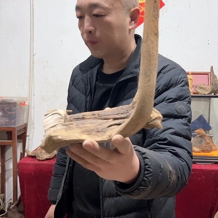 柏木小**山我们的生活也是如此