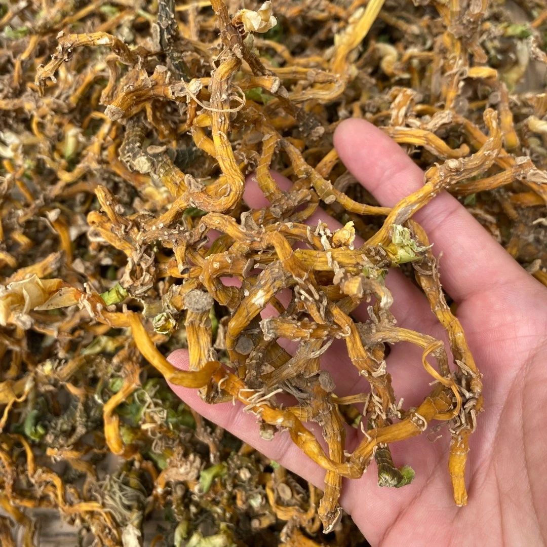 玉竹 山货生晒干货玉竹 7年左右 250g