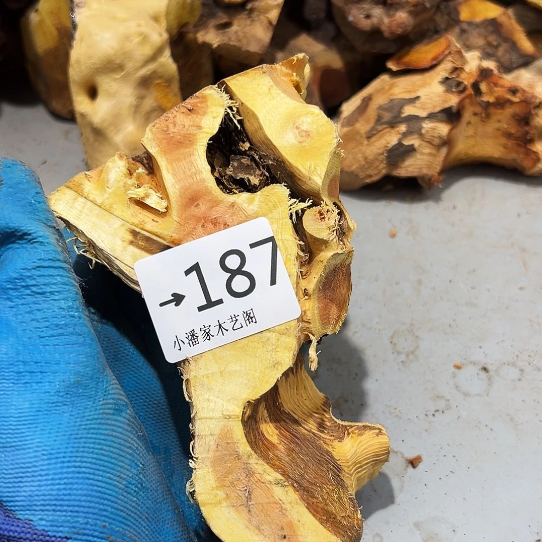 香榧木小**袄火琉璃……火琉璃