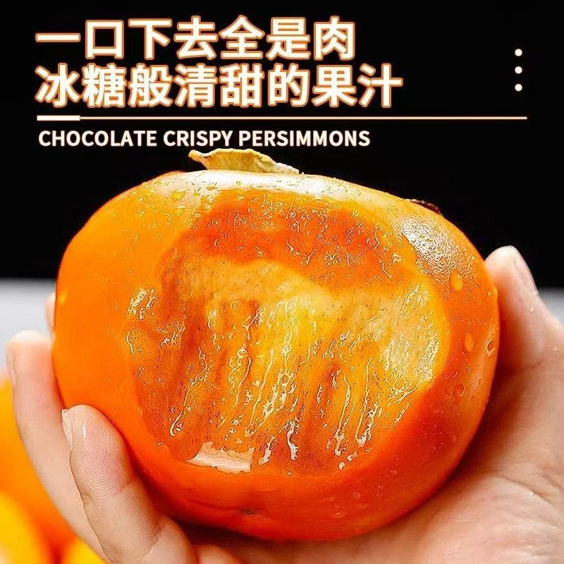 新鲜应季巧克力脆甜柿子大果硬柿子口感清甜