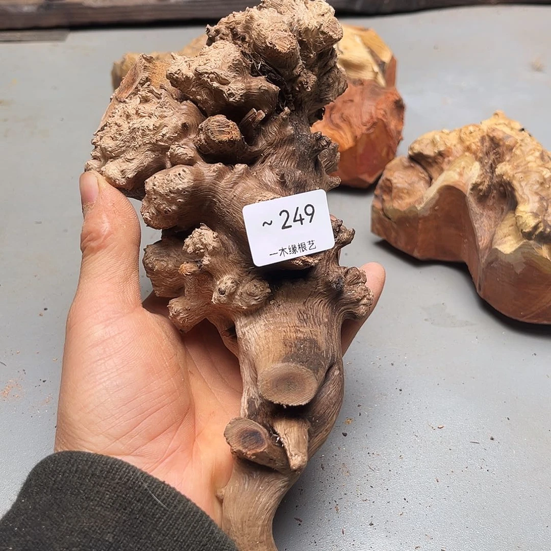 顺***风无花朵         249