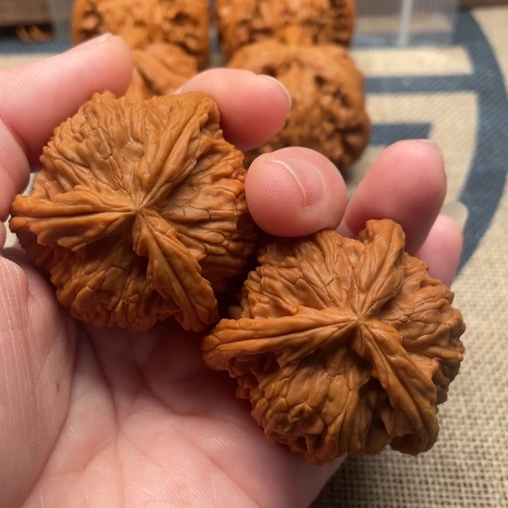 很***u核桃白狮子42核桃