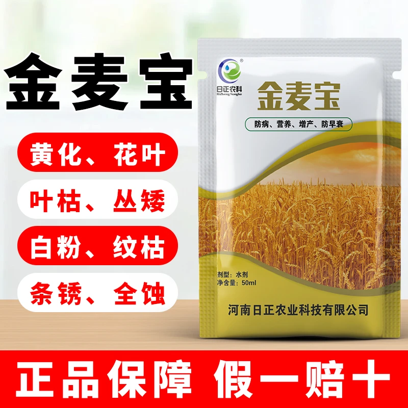 小麦宝宝麦黄金小麦种植专用补充营养穗大粒饱生根壮苗叶面水溶肥