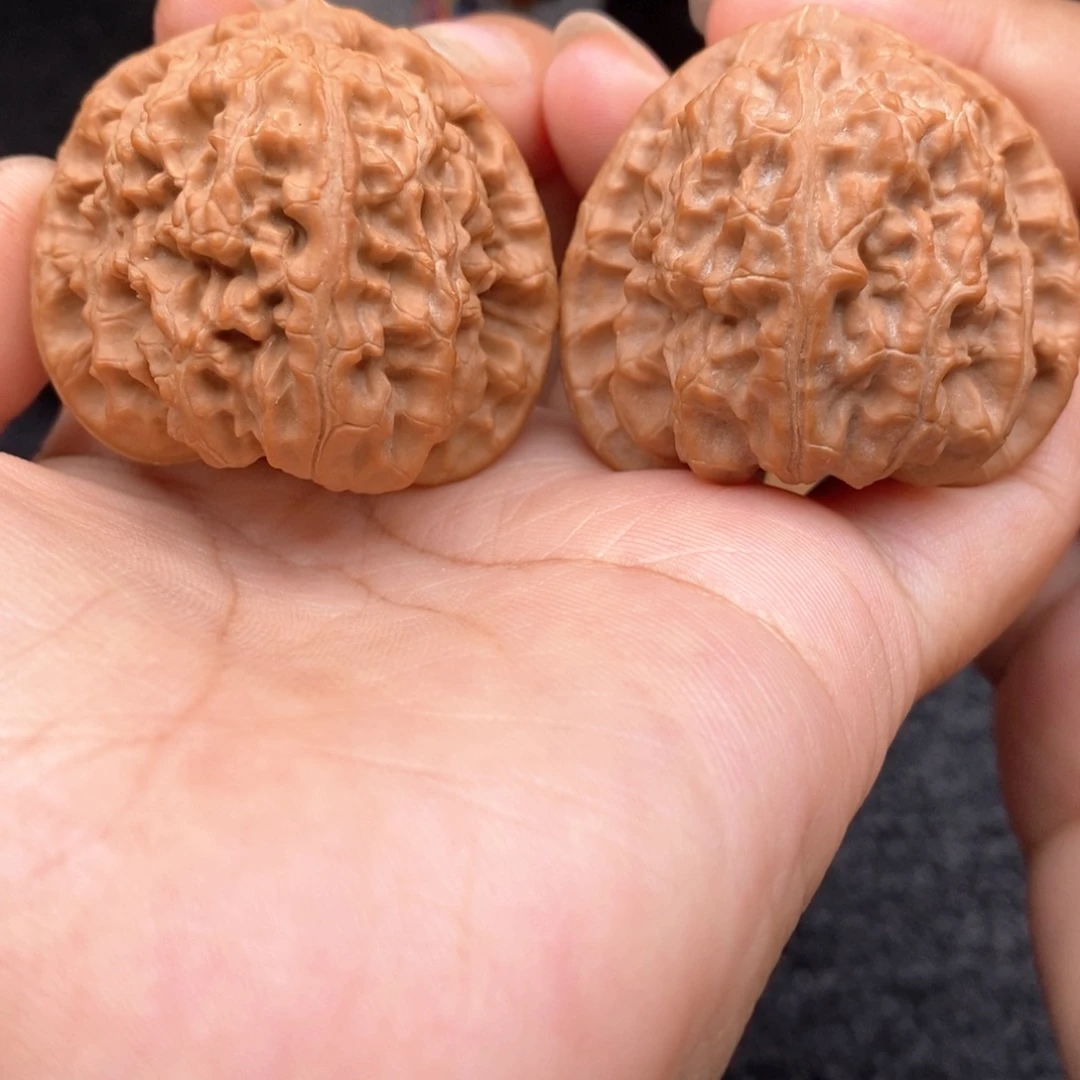 把件文玩核桃40白狮子