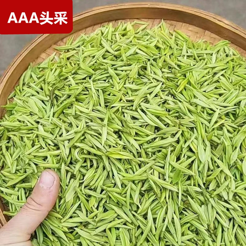 头采 安吉白茶2025新茶春茶明前特级珍惜高山醇香豆香型绿茶叶