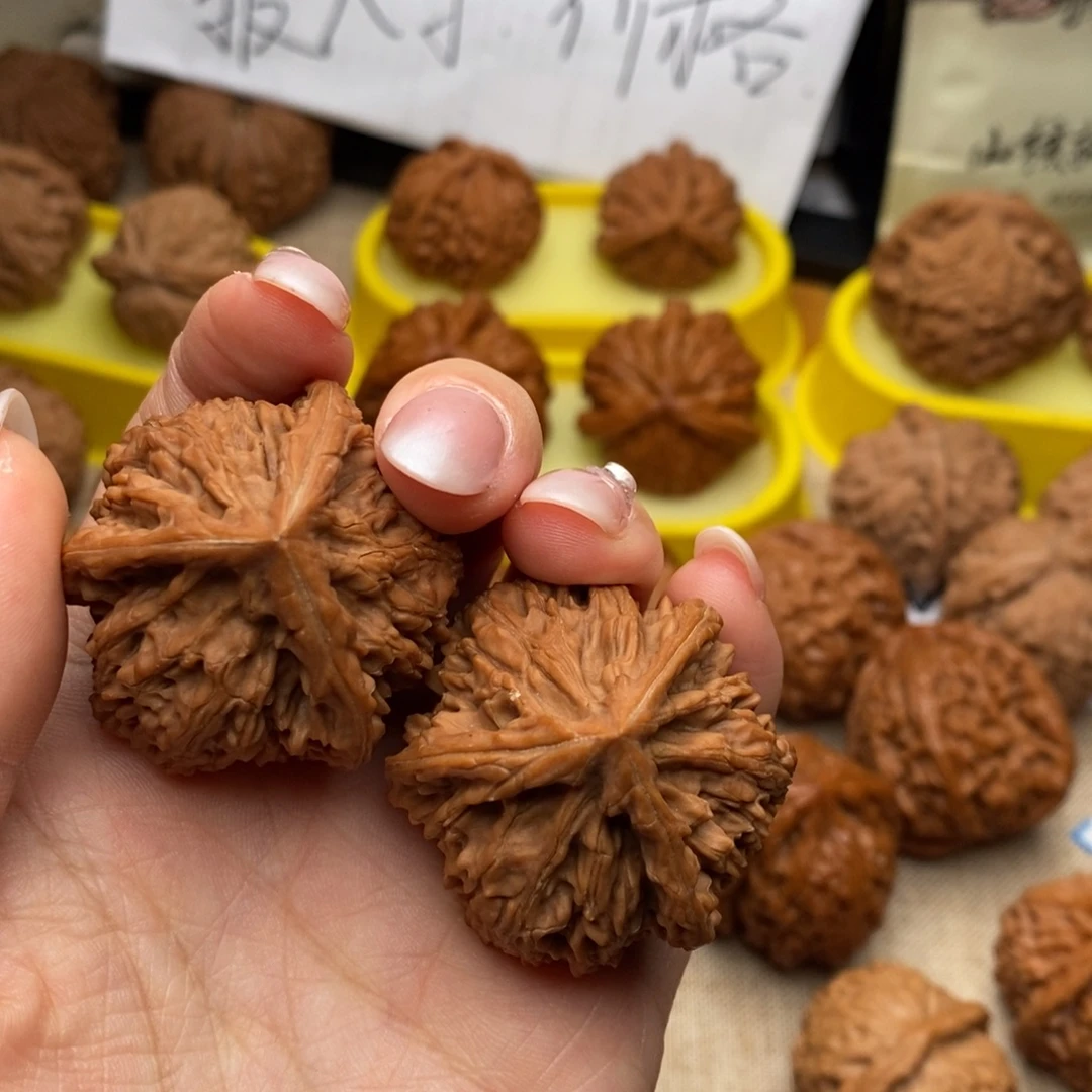 文山玉龙粗筋奔奔全品40…………