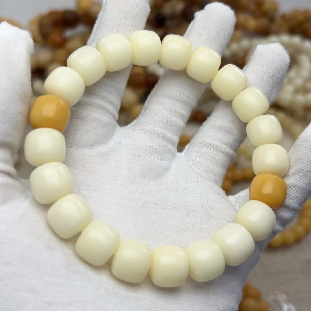 吊坠菩提根/象牙果13干磨726