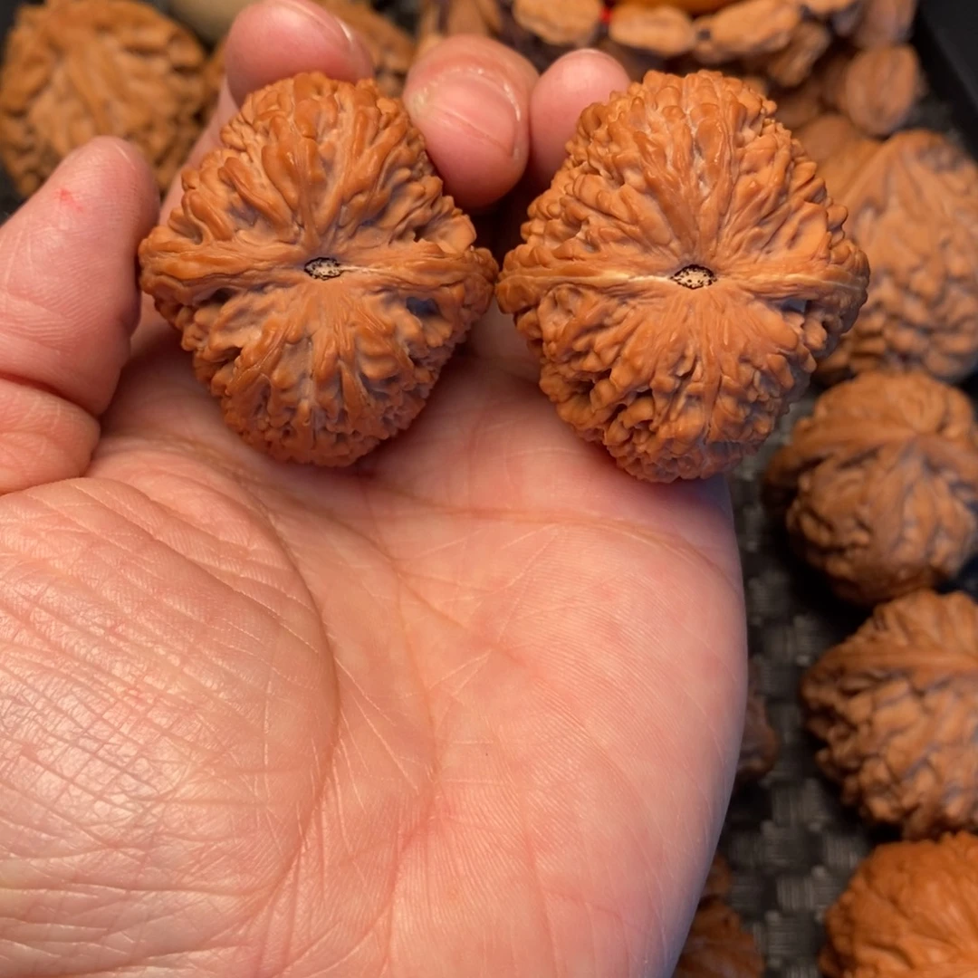 墨***漠把件文玩核桃蒜头39