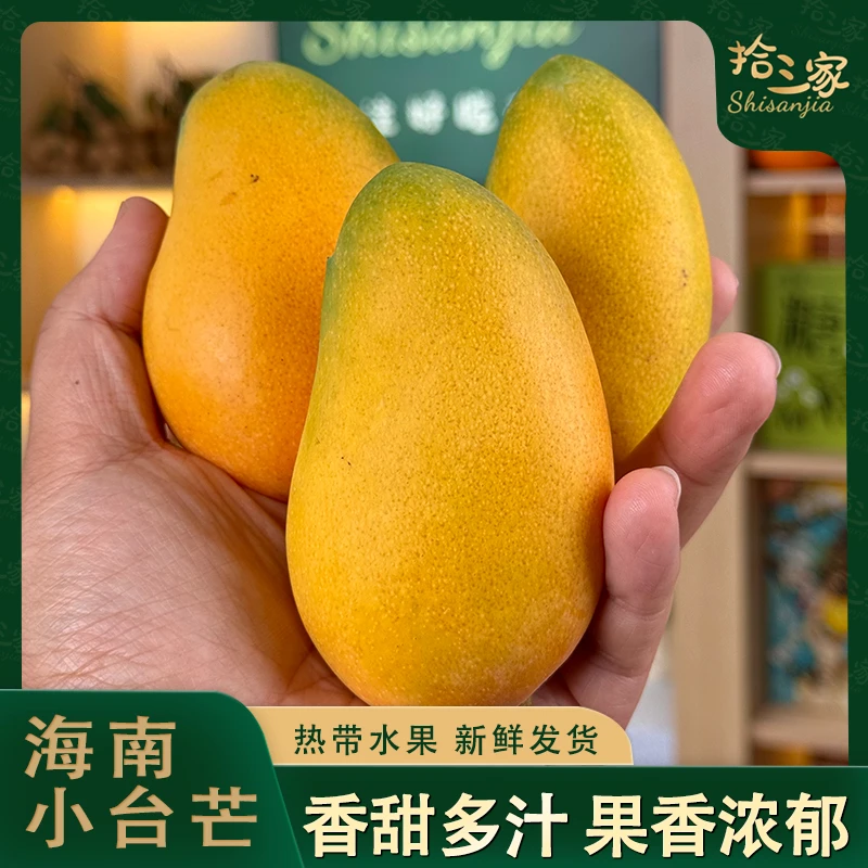 【拾三】精品海南小台农芒 果香味浓郁 热带水果 新鲜发货 当季热卖