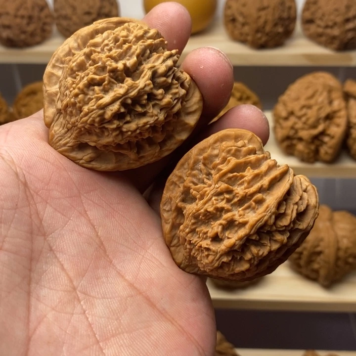 把件核桃41尺老树满天星一物一图