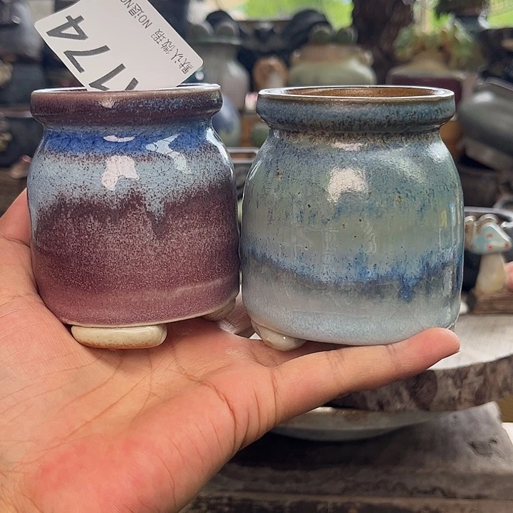 重庆小燕子欢迎大家174