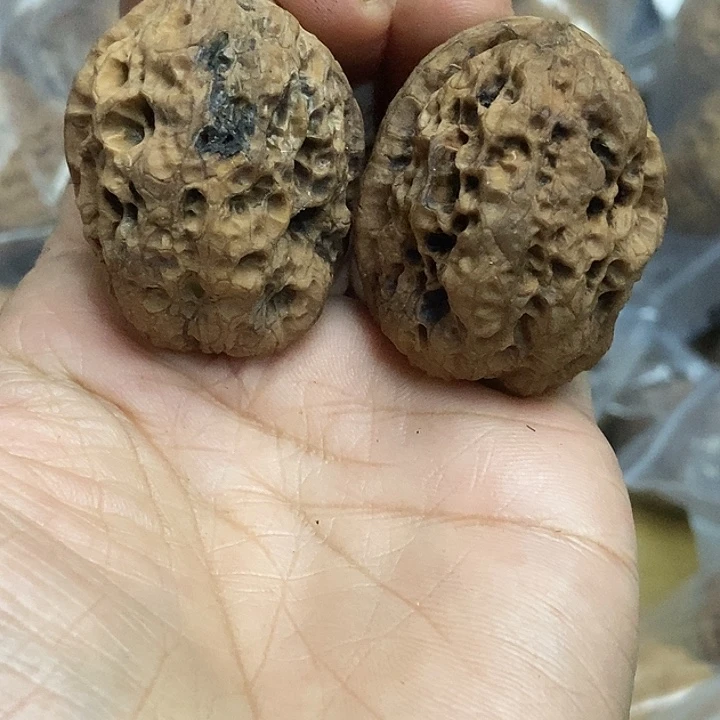 文玩核桃把件云南铁核桃基地86