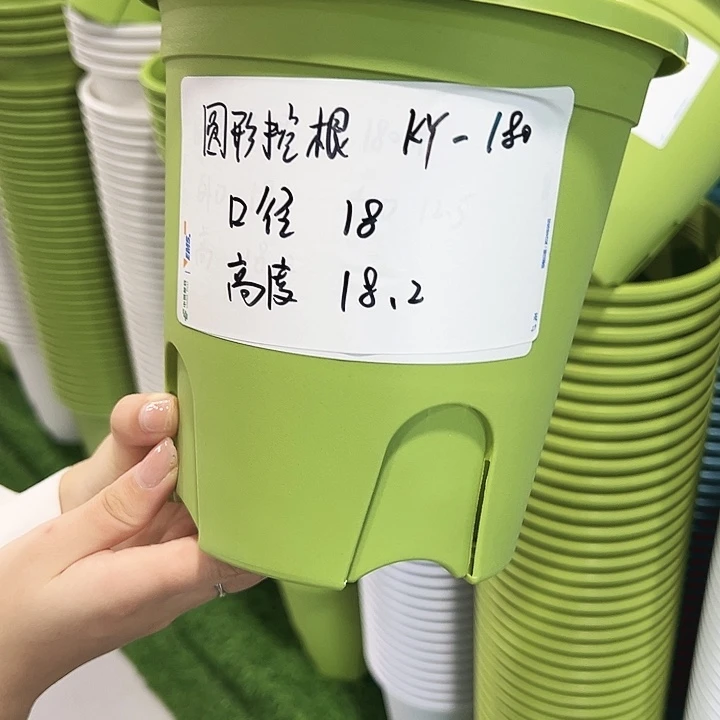 正品圆控口18高18果绿无托8只