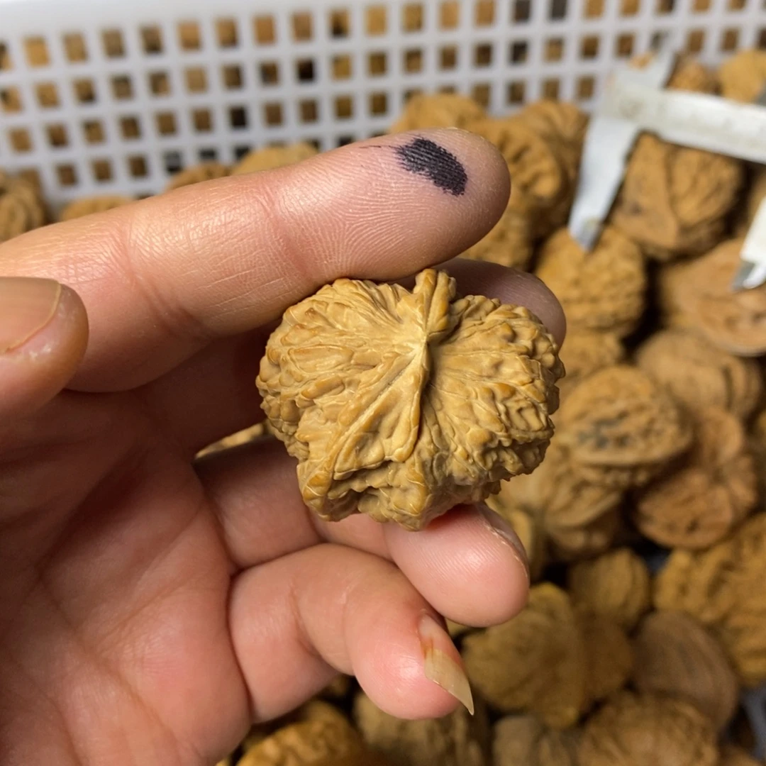 后***生大叶紫檀（黑酸枝木类）