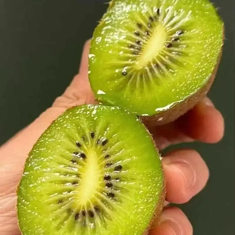 【京东次日达】陕西省新鲜当季绿心徐香猕猴桃香甜多汁软糯香甜肉厚皮薄水果陕西省