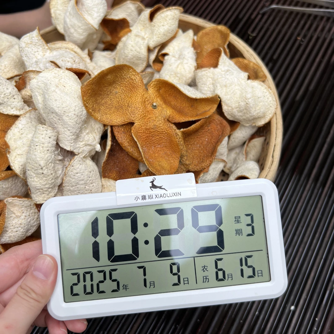 2024新会梅江圈枝大红新皮 ①小鹿收茶  新会新皮 7月9