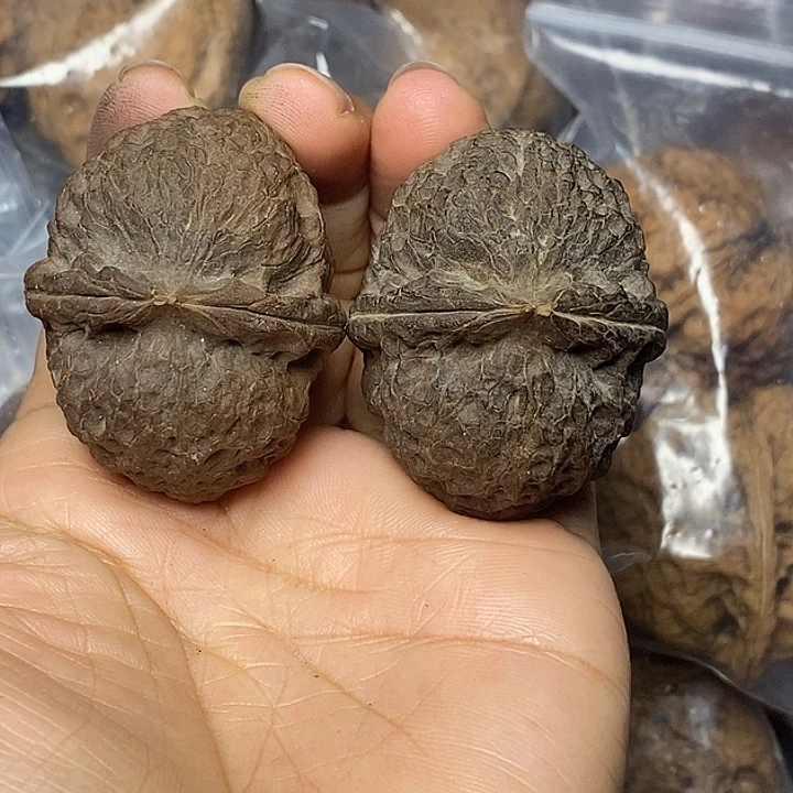 把件文玩核桃云南铁核桃69