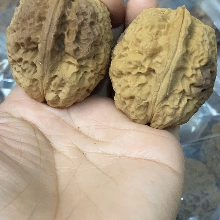 把件文玩核桃云南铁核桃基地27