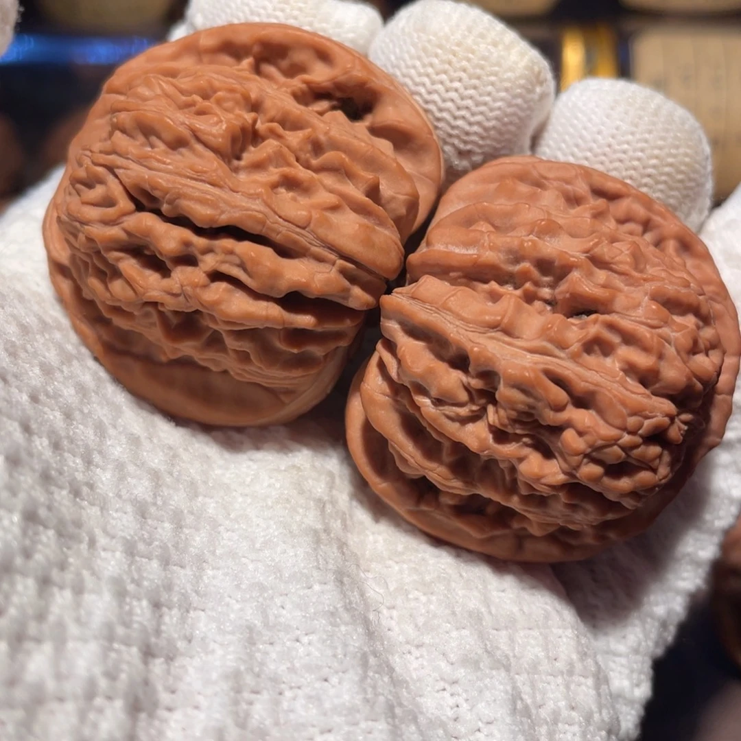 核桃43平谷楼llllll