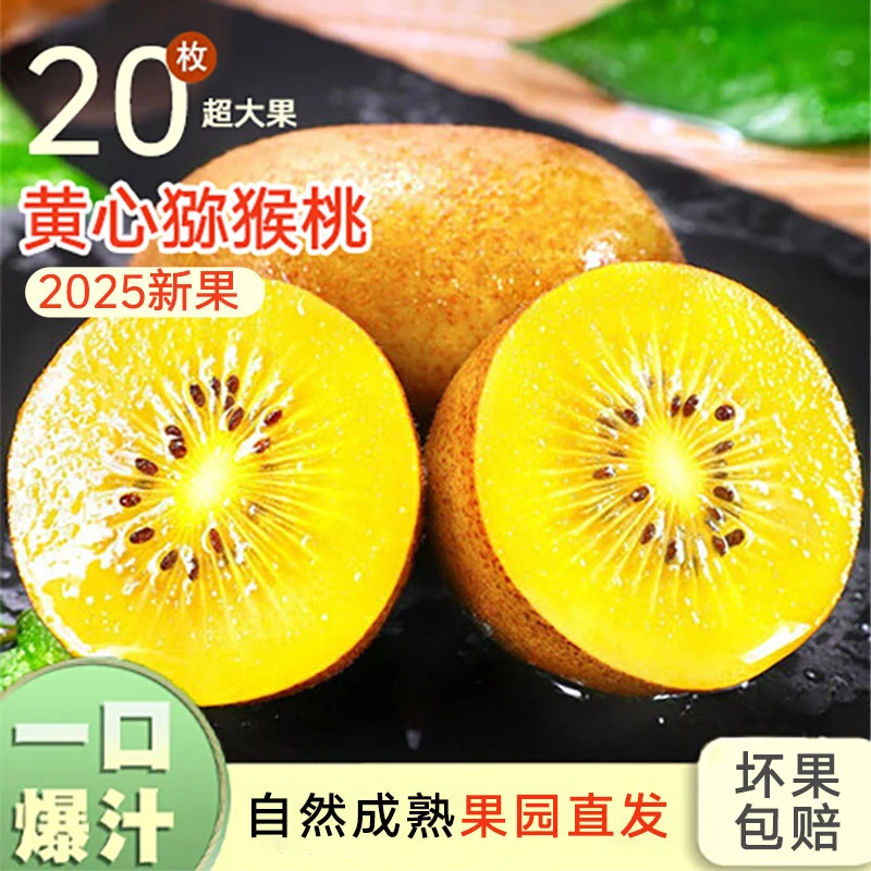 【明天到】正宗黄心猕猴桃新鲜当季产地直发金果水果奇异果应季水果放软吃湖北省