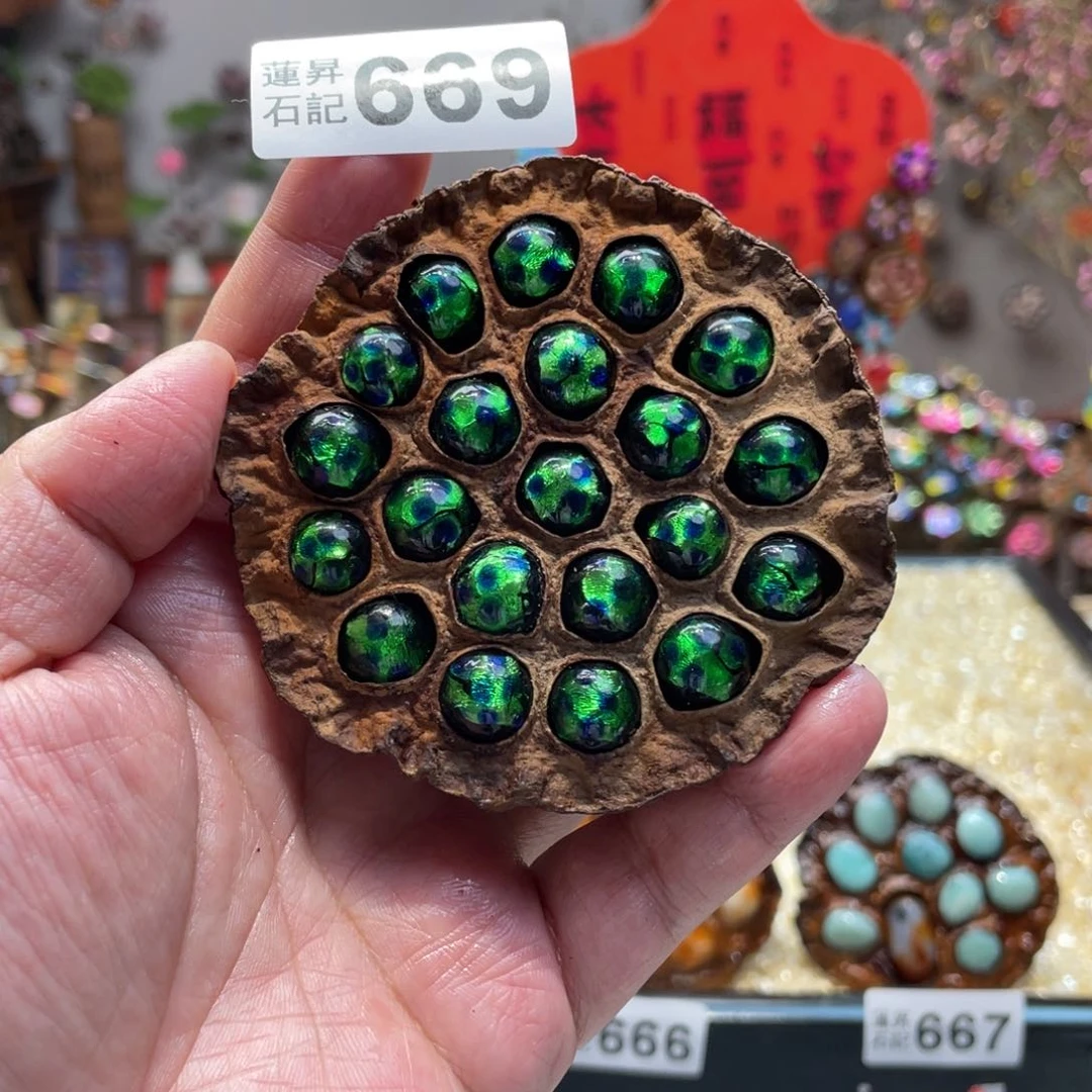 核桃木/黑胡桃（胡桃木）669