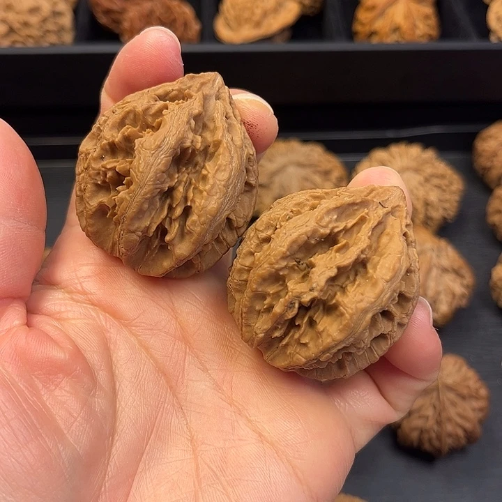 核桃我也想去的路上