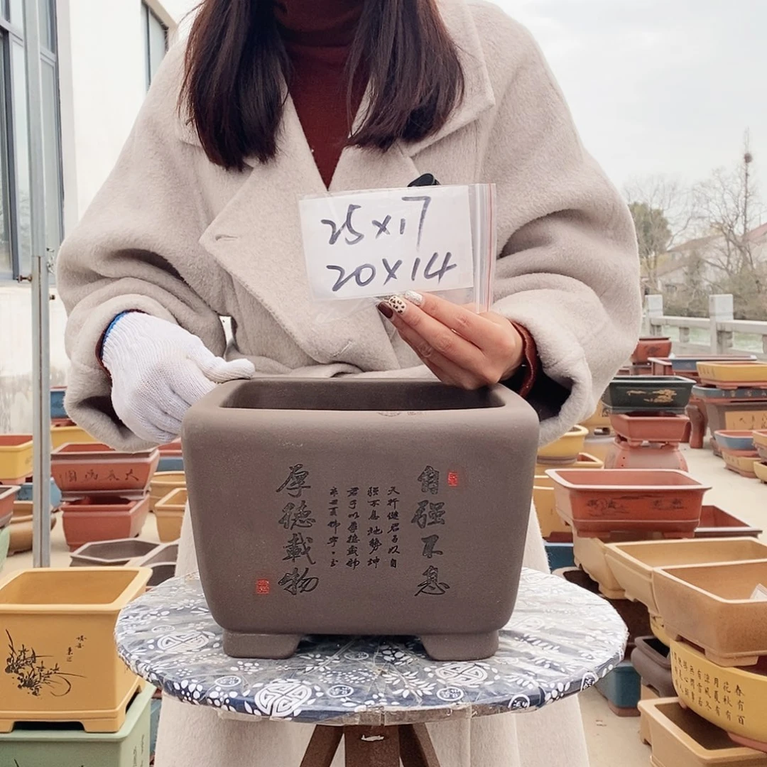 紫砂花盆紫砂花盆