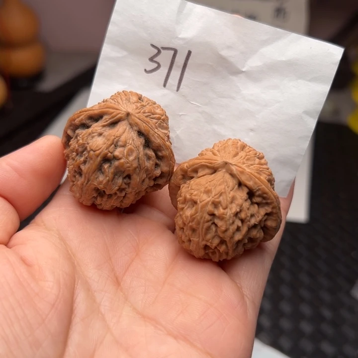 核桃37尺寸白狮子全品色差