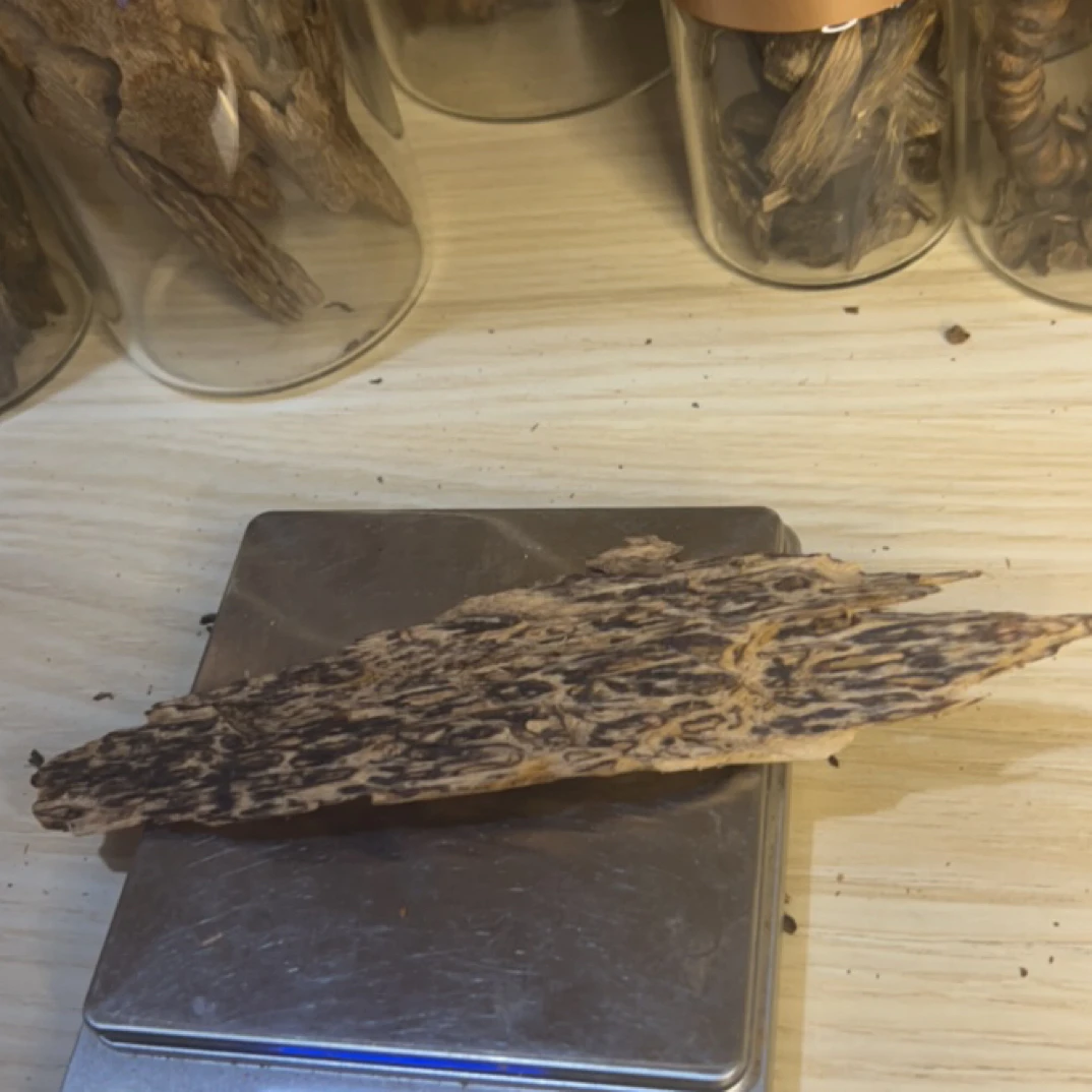 天然老料楠原材料勾丝可煮水泡茶DIY香料蜜甜瓜果香沉水红棋8g