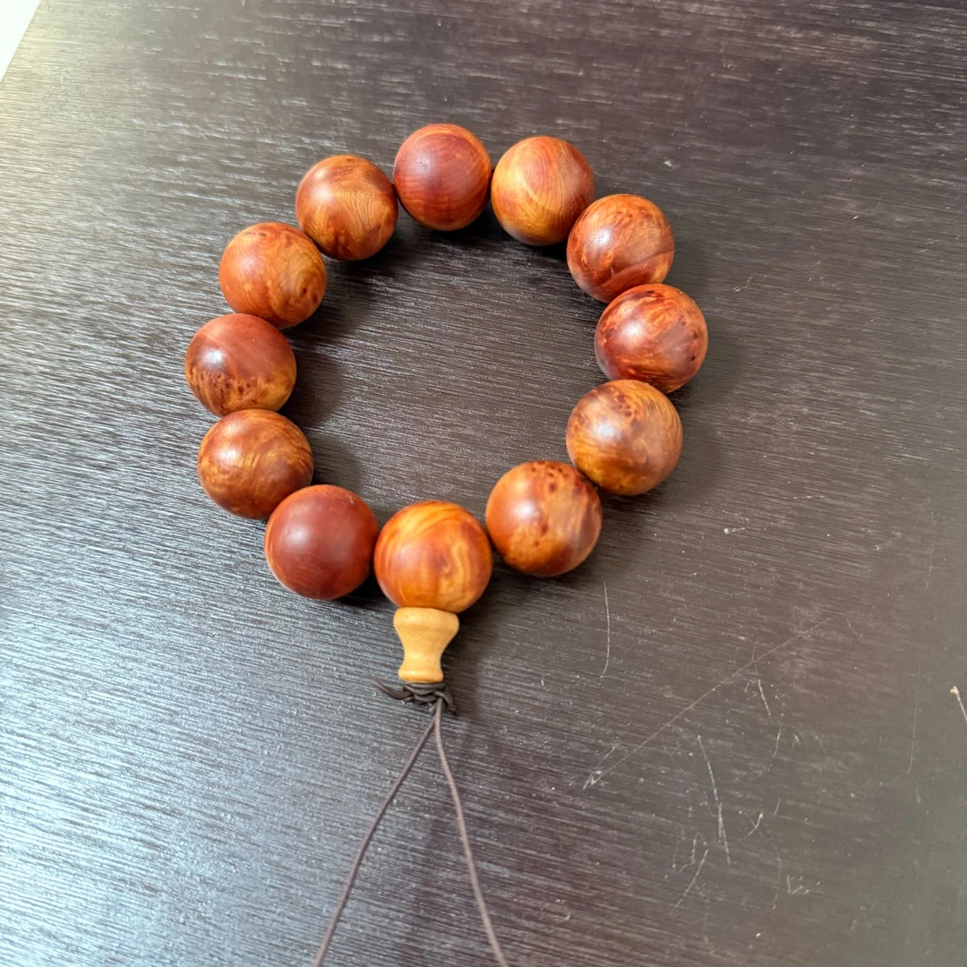 太行  留疤  崖柏