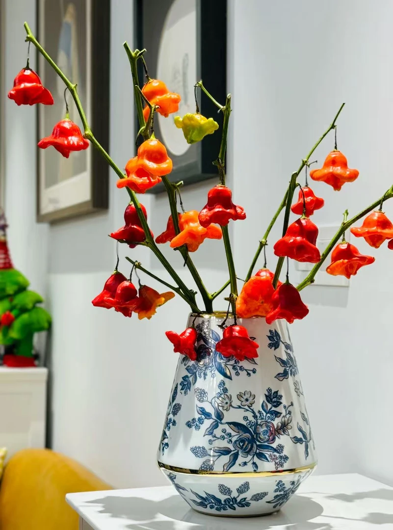 云南小众花材五彩分风铃椒（可做干花）