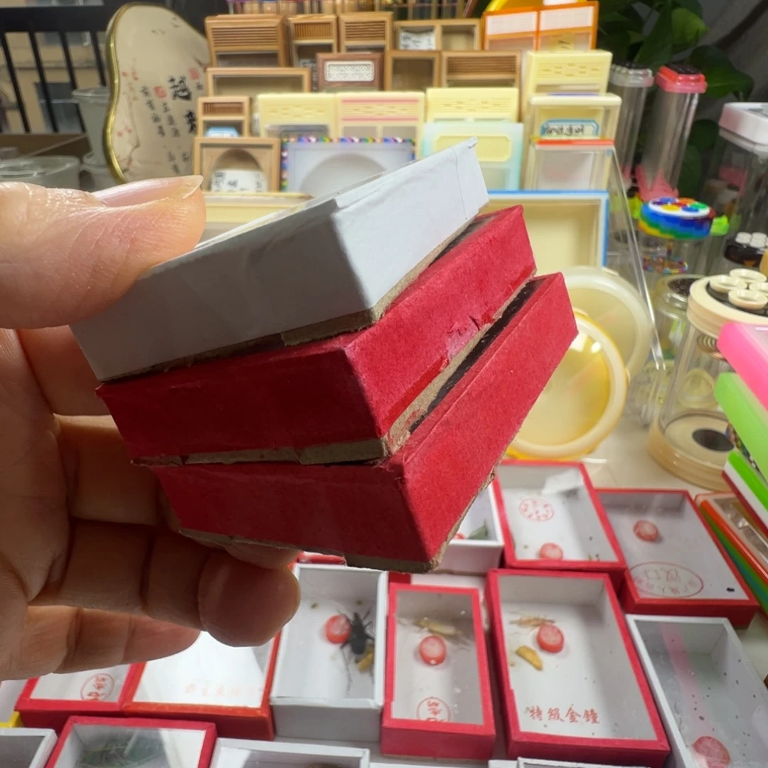 翱***翔蟋蟀三只没须冬黄蛉