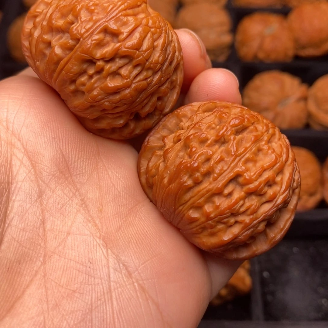 文玩核桃把件秦岭野生核桃