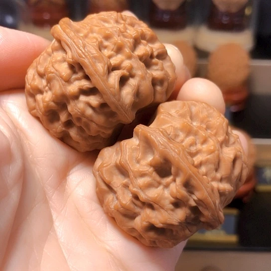 野生小众：玉枕元宝