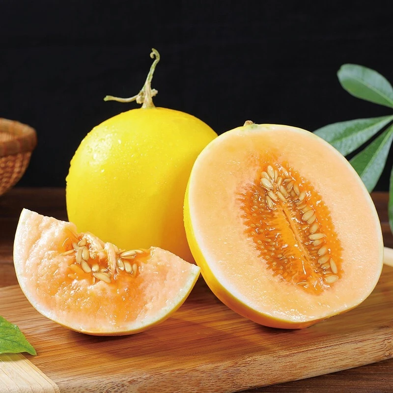 甘肃民勤蜜瓜金红脆蜜瓜现摘现发脆甜多汁新鲜水果