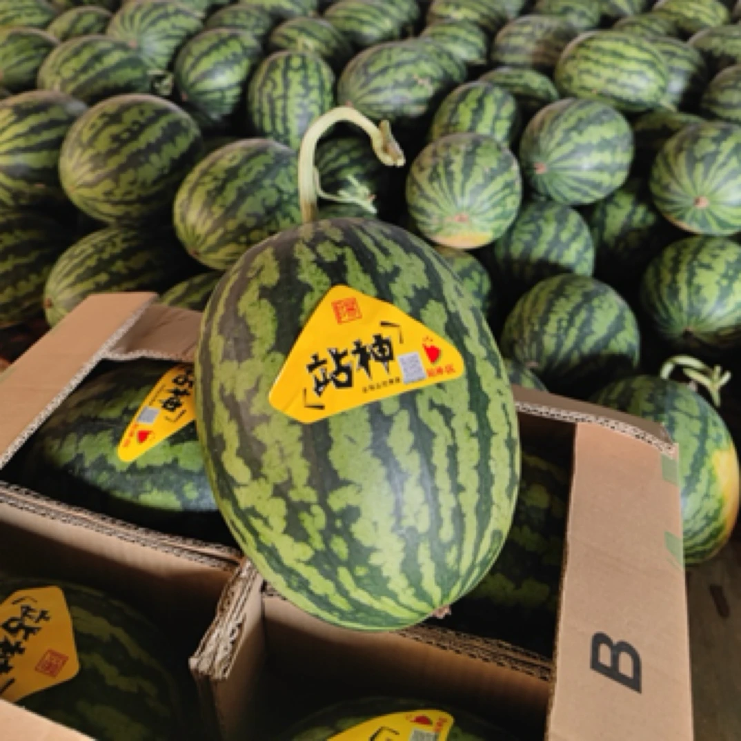 新鲜采摘站神甘美4K西瓜（产地直发，顺丰包邮）甘美4k西瓜