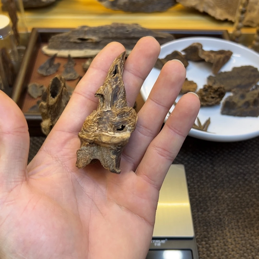 香港天然扭结树心7.9g