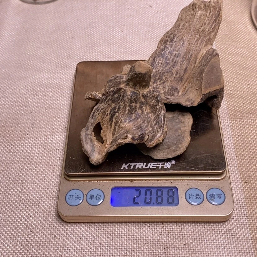 【闪购商品】香榧木一**前海南壳子20.88克