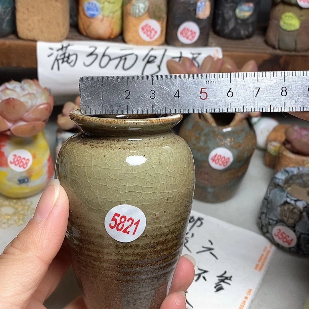 红陶拍5送一个小