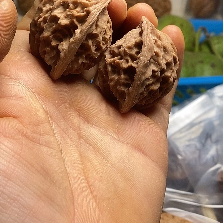 吊坠桃核盘山大肚子蛇