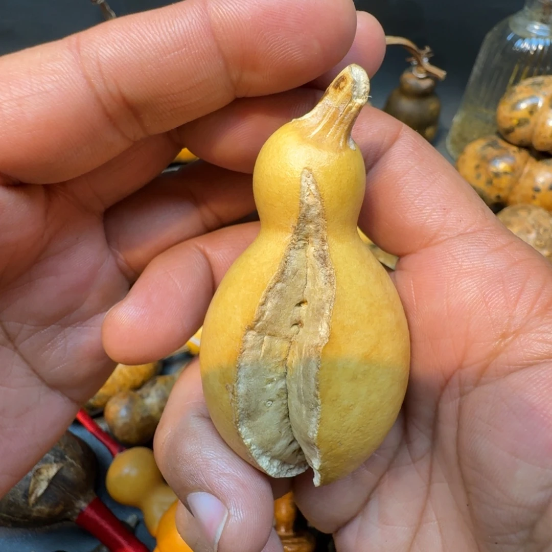 發***財嘎嘎嘎嘎嘎嘎嘎嘎