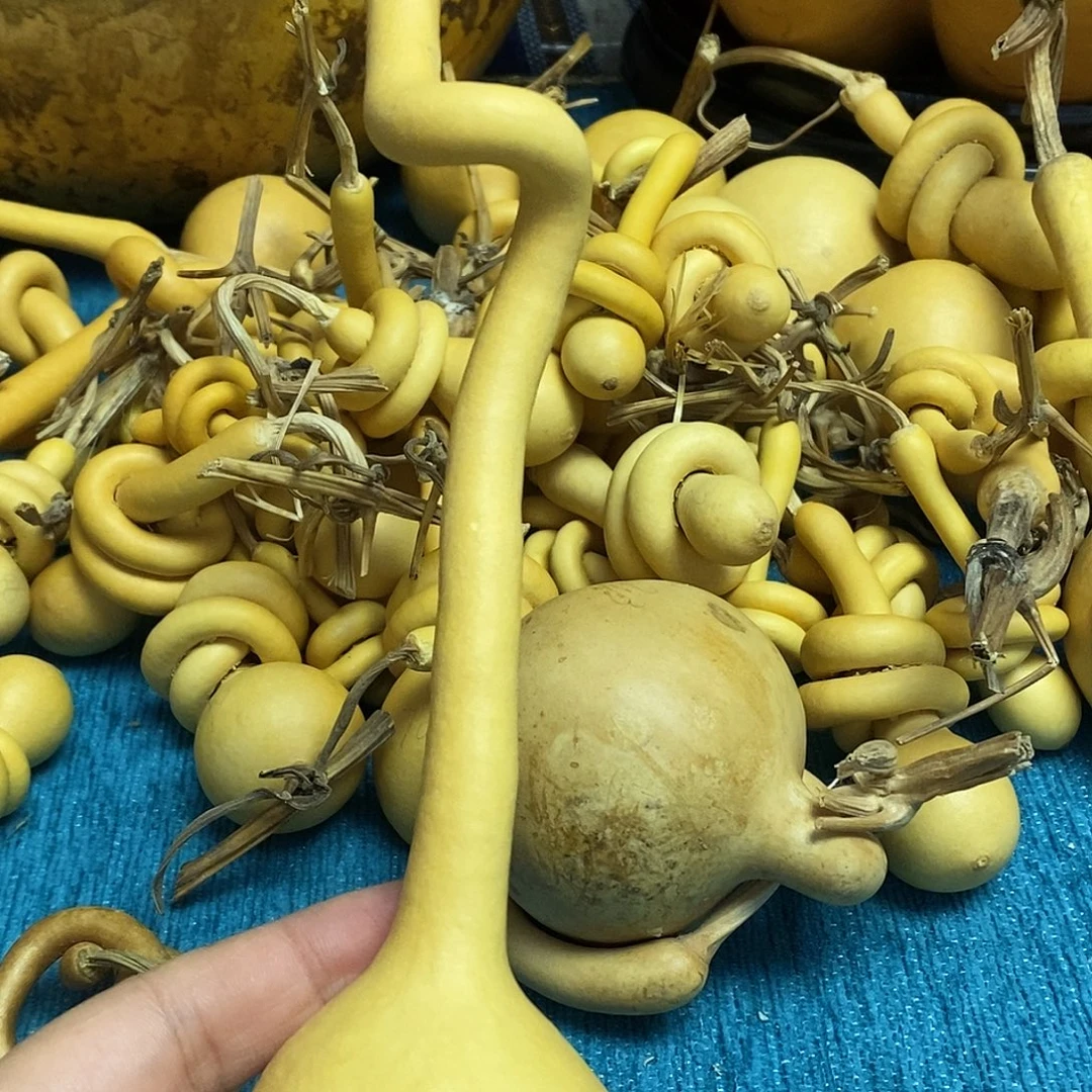 纳***哥一把葫芦便宜漏了