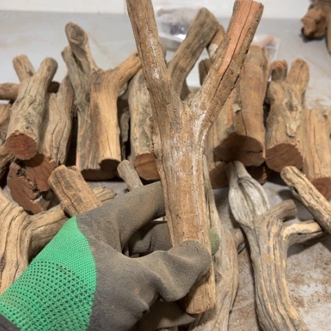 大果紫檀（缅甸花梨）张*五