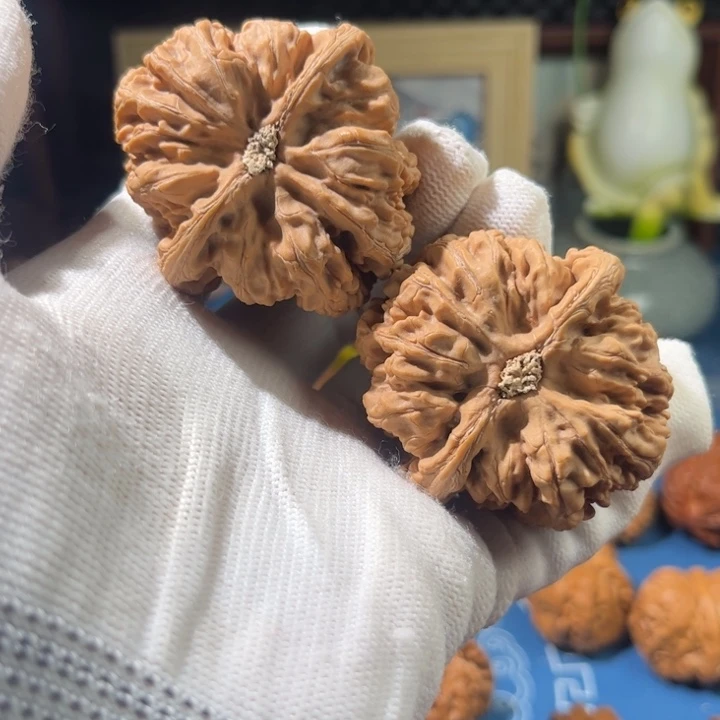 沐***沐文玩核桃把件粗筋