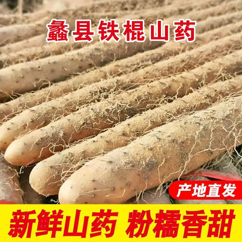 2024河北软糯香甜小白嘴山药产地新鲜现发发4.5斤