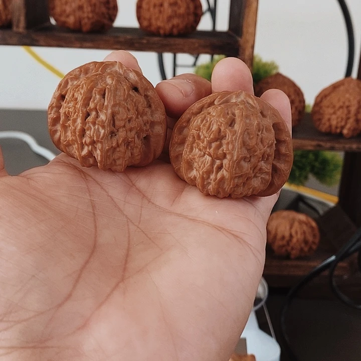 41尺红皮果骨质哇哇噻