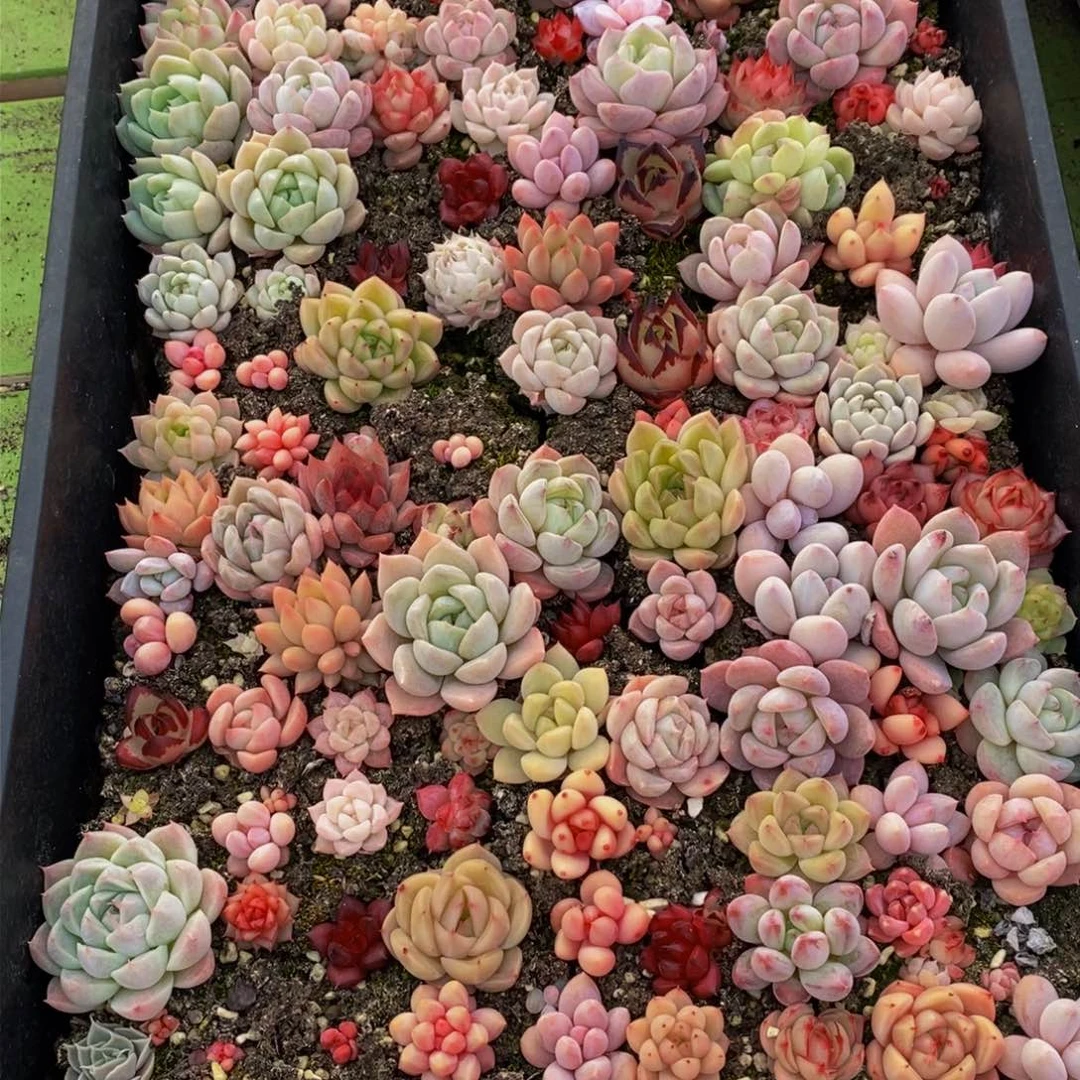 638过了一天就这样了。我在