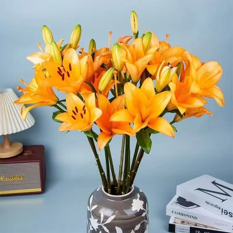 【之桃花卉】橙色梦想亚百合 一单包邮 云南昆明发货