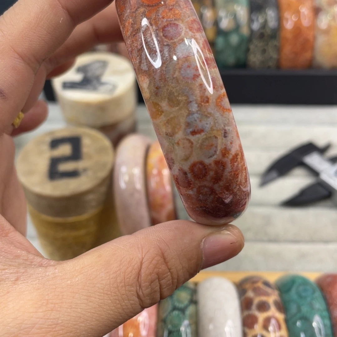未镶嵌手镯硅化玉